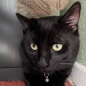 Meet your Posher, Kevin